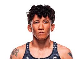 The Rise of Virna Jandiroba in the MMA World image 1
