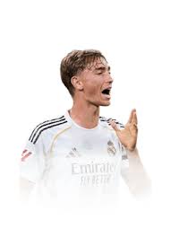 Dean Huijsen: The Rise of a Young South African Talent