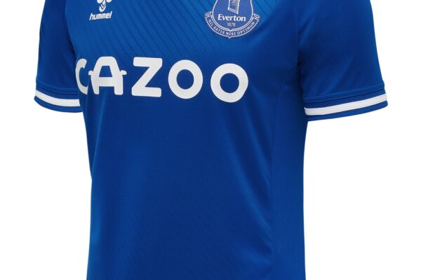 A Deep Dive into Everton Football Club image 1