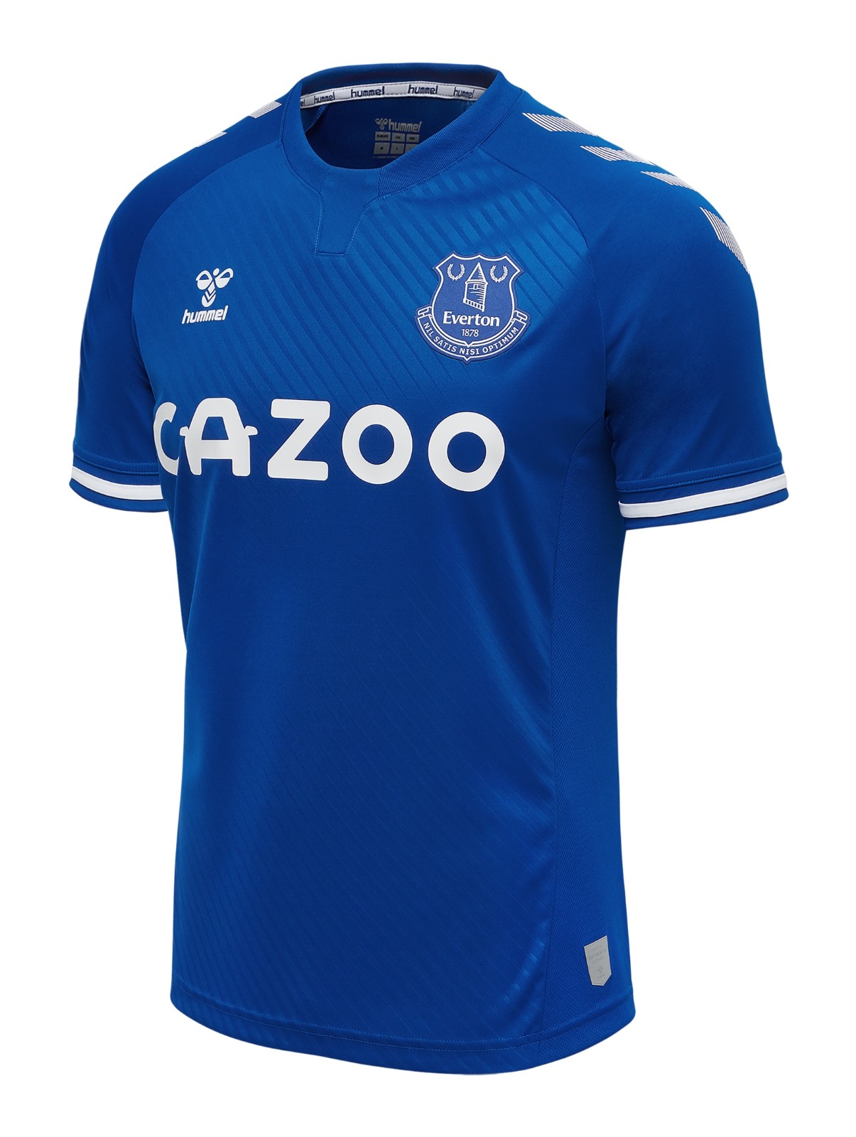 A Deep Dive into Everton Football Club image 1
