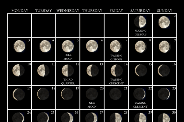 Die Volle Maan van November 2025: Jou Gids