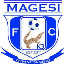 The Rise of Magesi FC in South African Football image 1