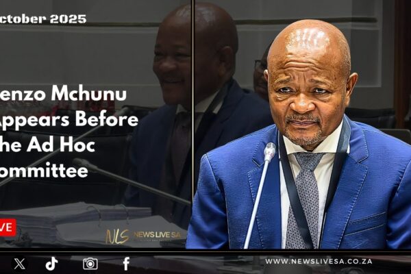 Senzo Mchunu Addresses South Africa’s Energy Crisis