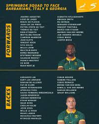 Springbok Team Announcement Ahead of Key Match image 1