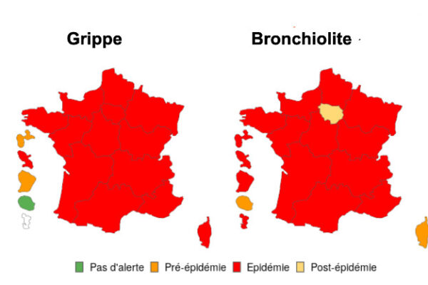 L’Épidémie de Grippon 2023 : Symptômes et Prévention