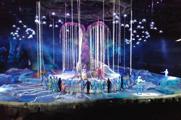 Le Cirque du Soleil : L’Art de la Performance Éblouissante