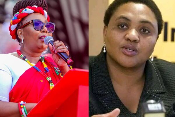 Thoko Didiza : Un Pilier de la Politique Sud-Africaine