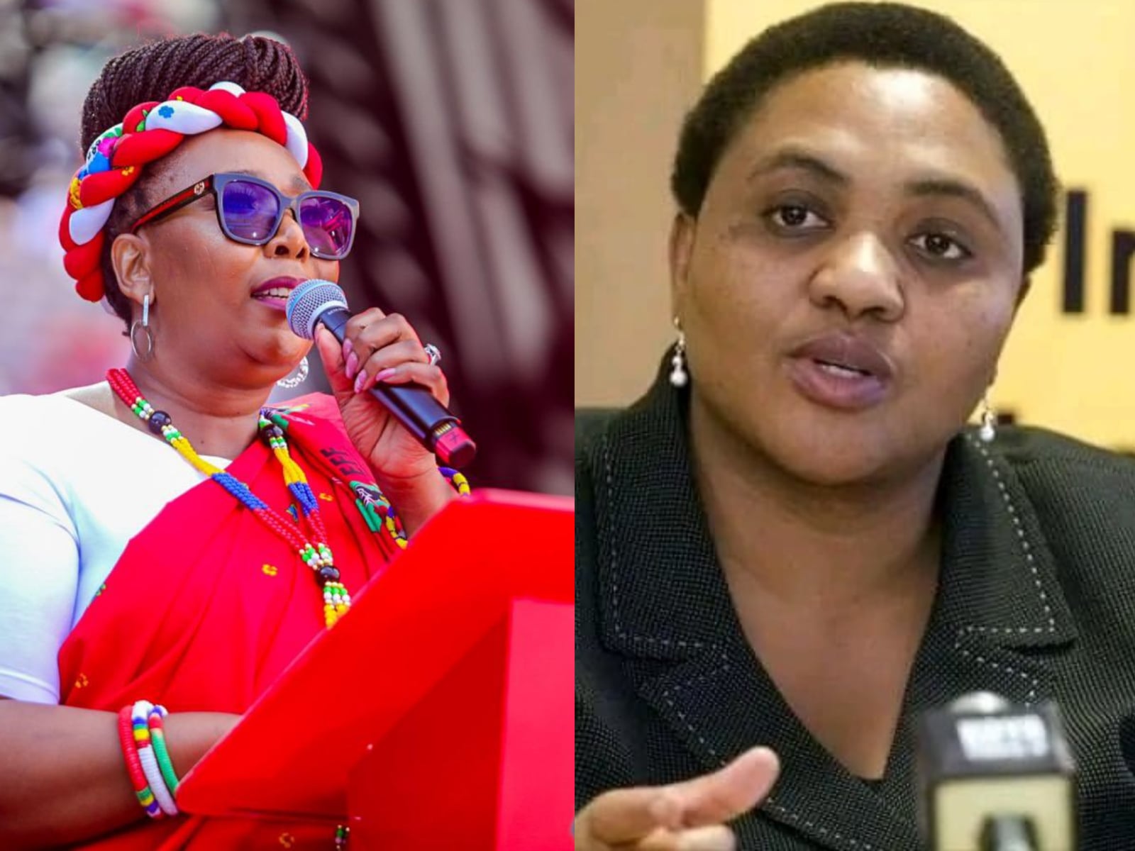 Thoko Didiza : Un Pilier de la Politique Sud-Africaine