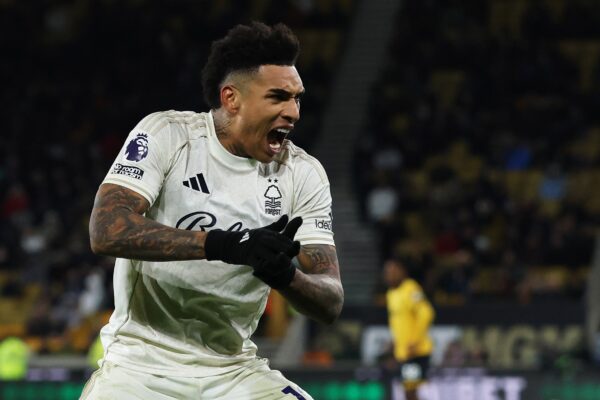 La réintroduction des loups à Nottingham Forest : enjeux et perspectives