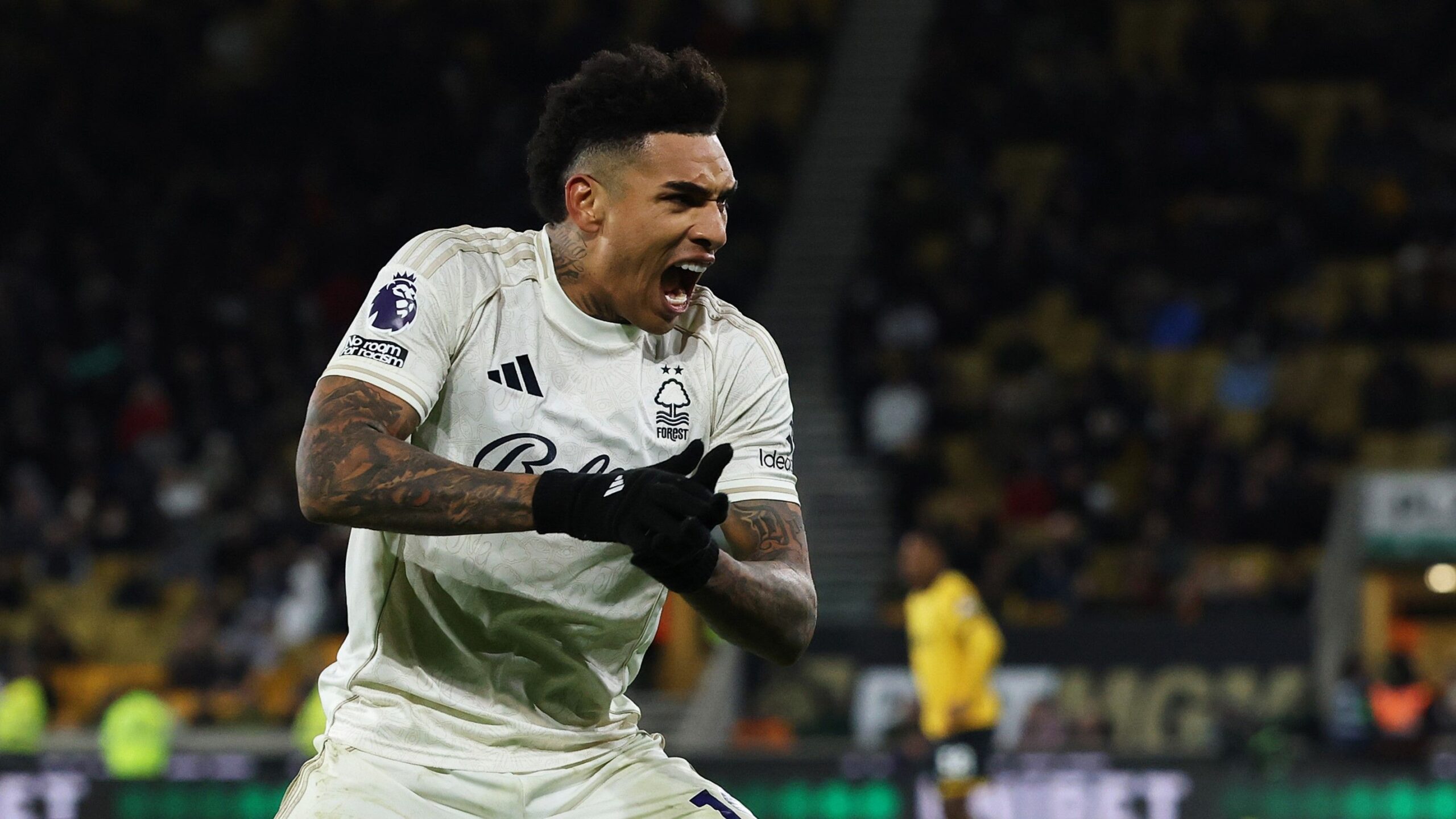 La réintroduction des loups à Nottingham Forest : enjeux et perspectives