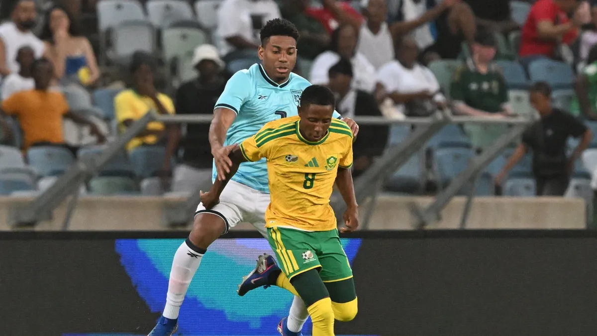 bafana bafana vs panama — ZA news