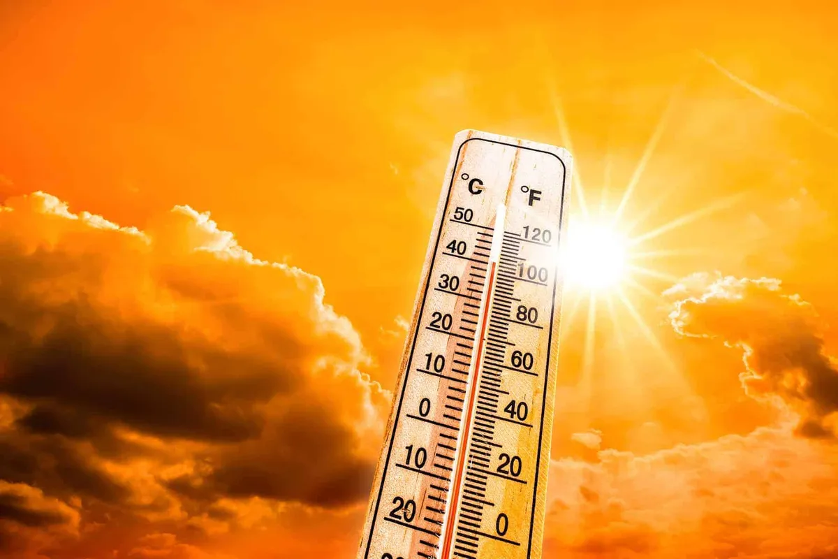 cape town heatwave — ZA news
