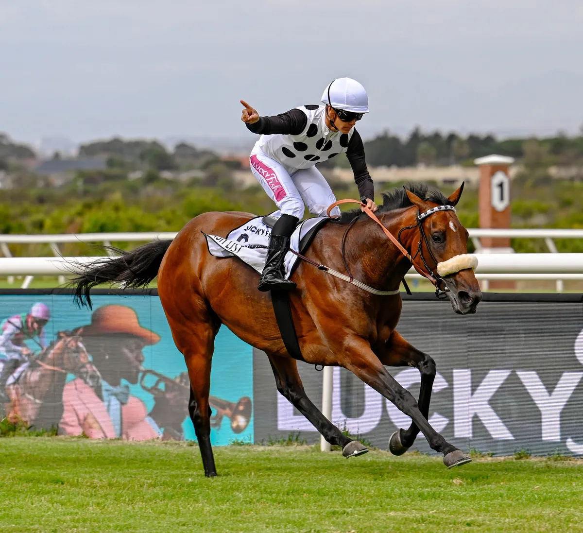 hollywoodbets — ZA news