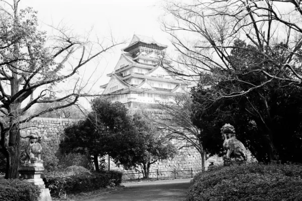 osaka — ZA news