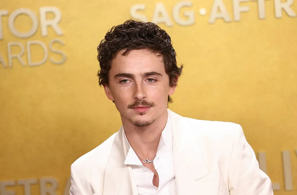 timothee chalamet — ZA news