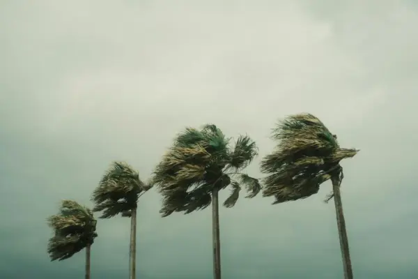 weather warning south africa — ZA news