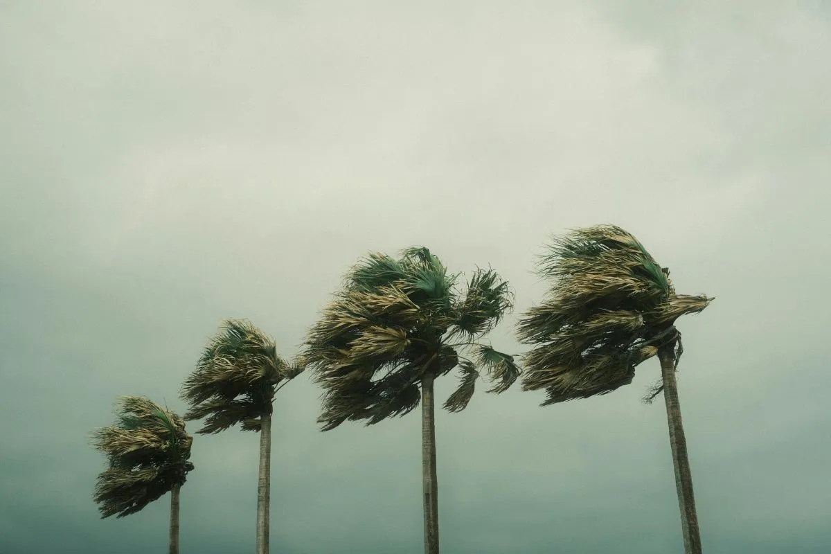 weather warning south africa — ZA news