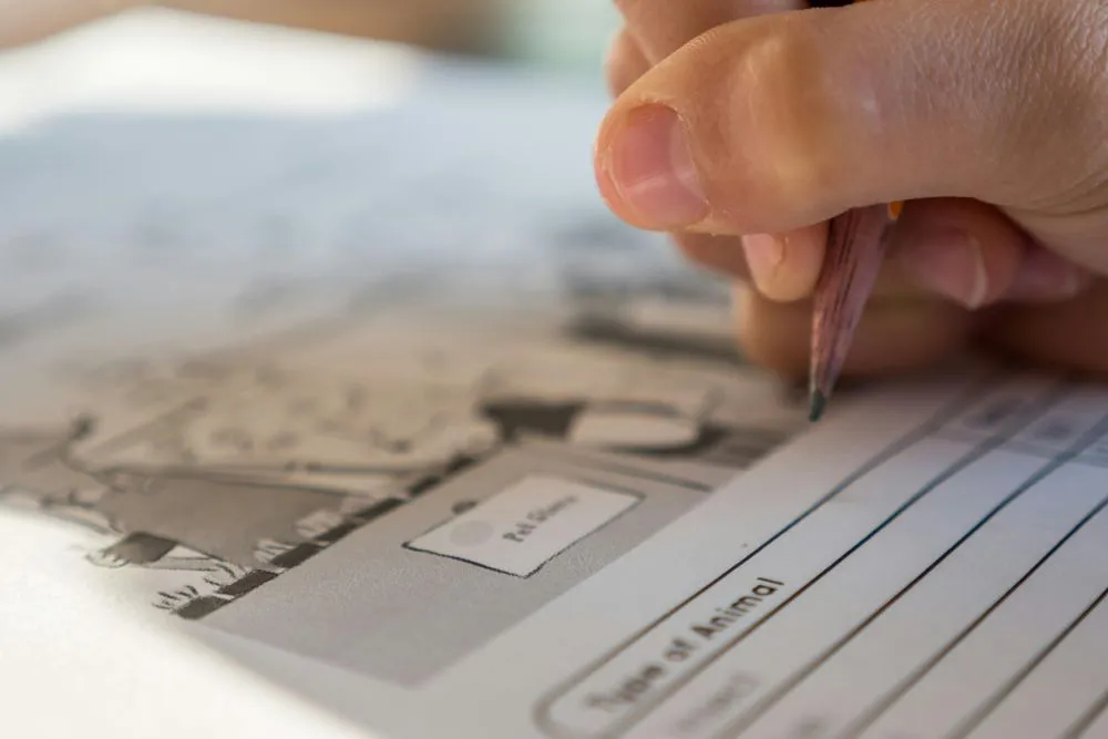 western cape education department — ZA news