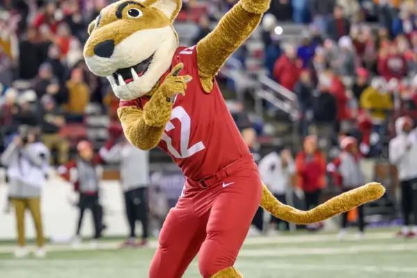 wsu — ZA news
