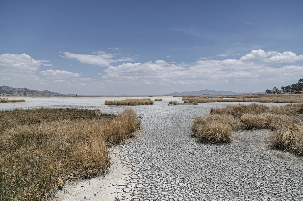 el nino south africa — ZA news