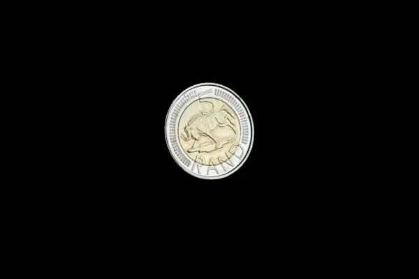 south african rand — ZA news