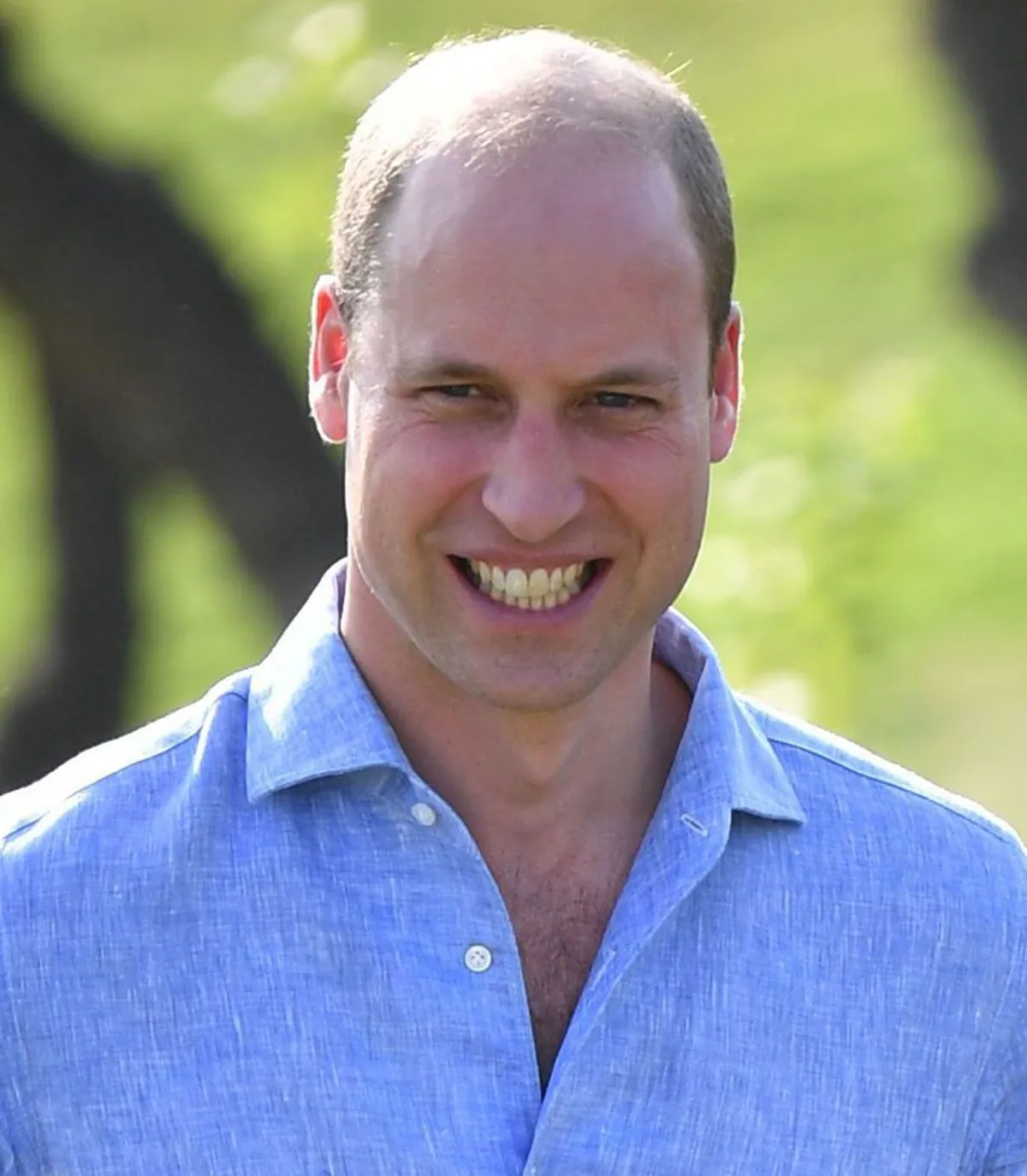 william, prince of wales — ZA news