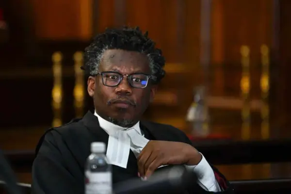 advocate tembeka ngcukaitobi — ZA news