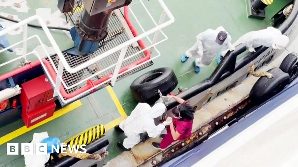 cruise ship hantavirus outbreak — ZA news