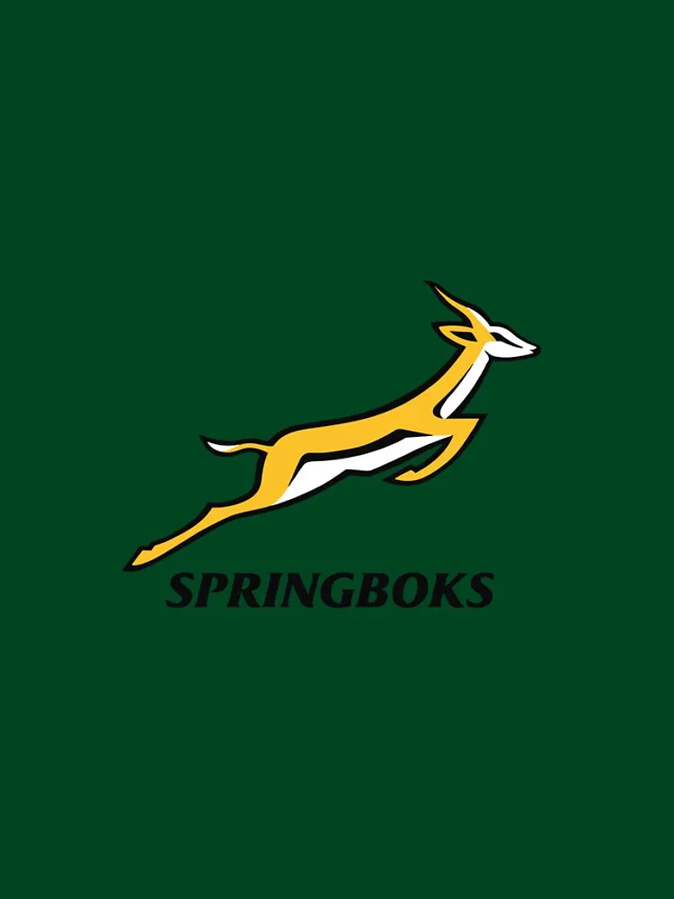 south africa national rugby union team — ZA news